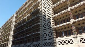 biomimicry
